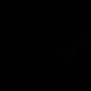 Meet your Posher, Bree